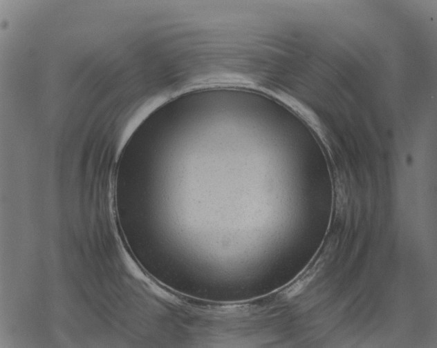 X0000077291390200611031539