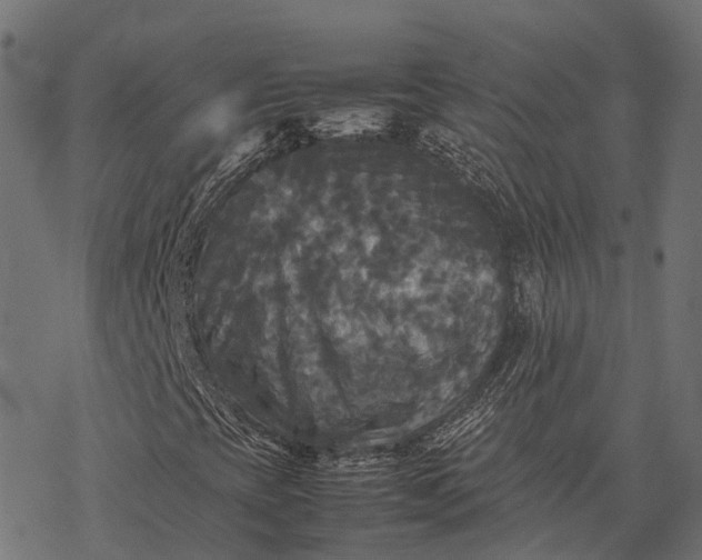 X0000077291393200611031538