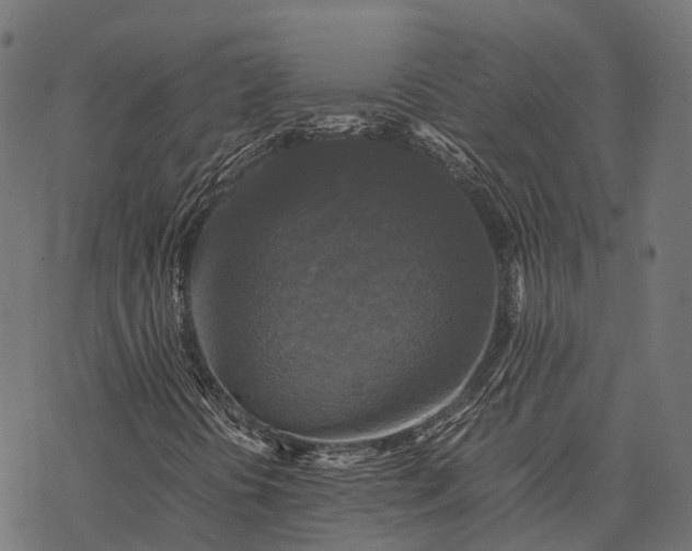 X0000077291394200611031538