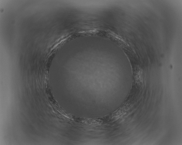 X0000077291397200611031538