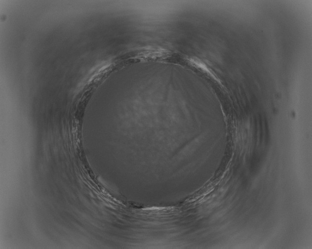 X0000077291399200611031538