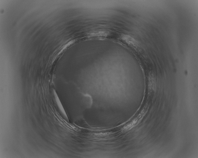 X0000077291401200611031539