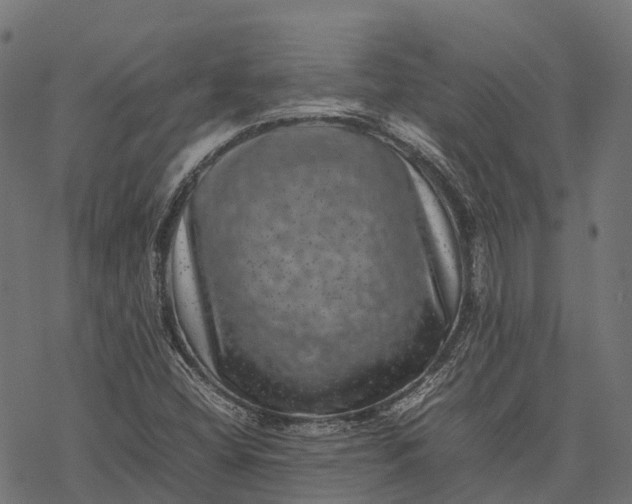 X0000077291404200611031539