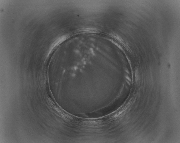 X0000077291405200611031539