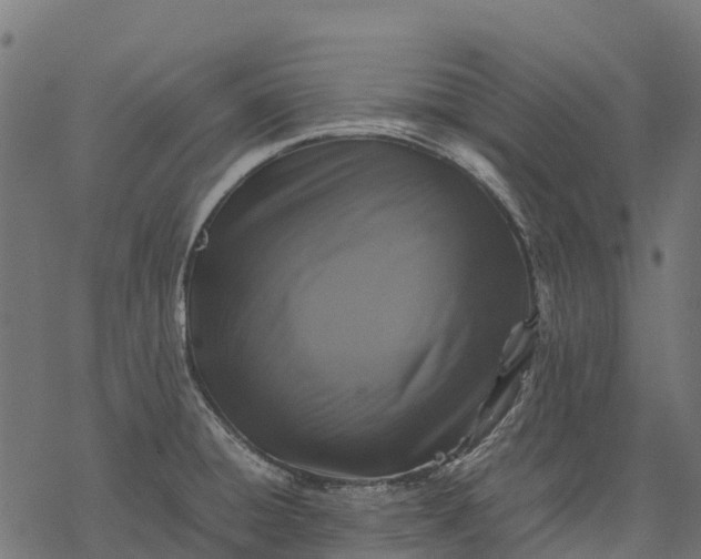 X0000077291428200611031539
