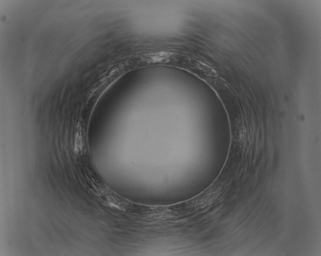 X0000077291442200611031538