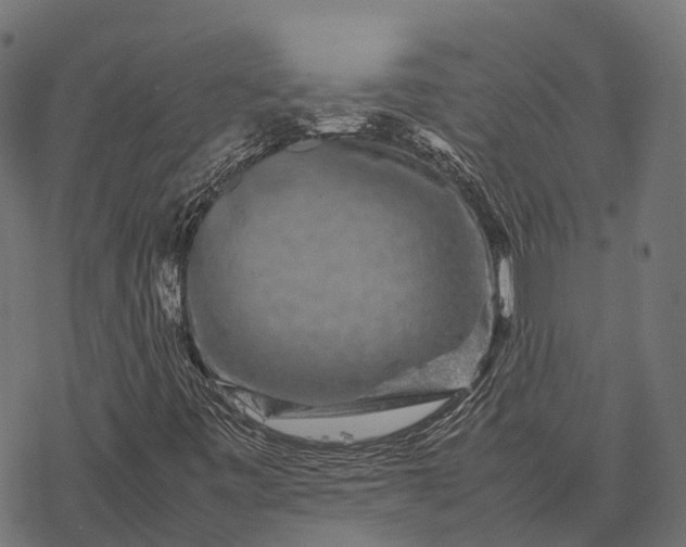 X0000077291443200611031538