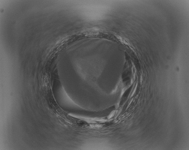 X0000077291445200611031538