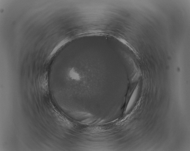 X0000077291450200611031538