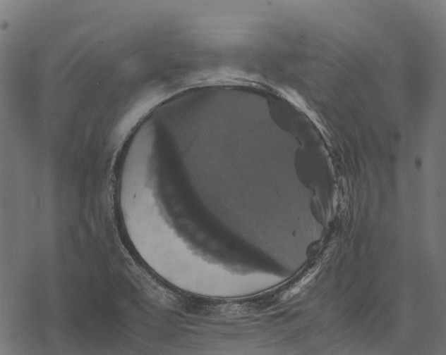 X0000077291463200611031538