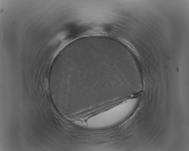 X0000077291465200611031538