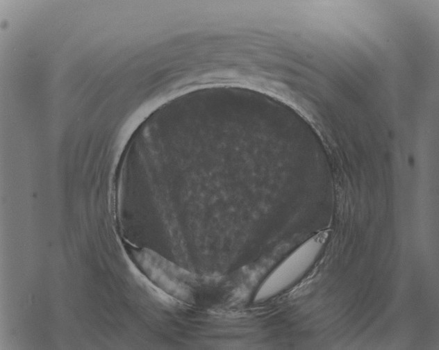 X0000077291527200611031537