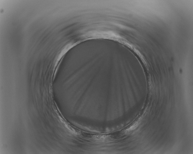 X0000077291529200611031537