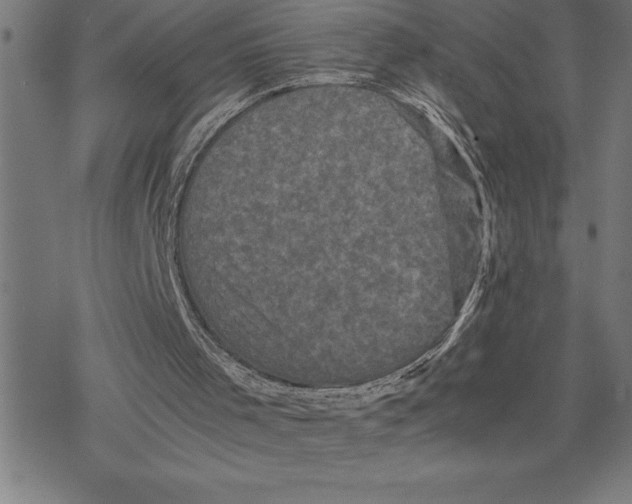 X0000077290001200611101354