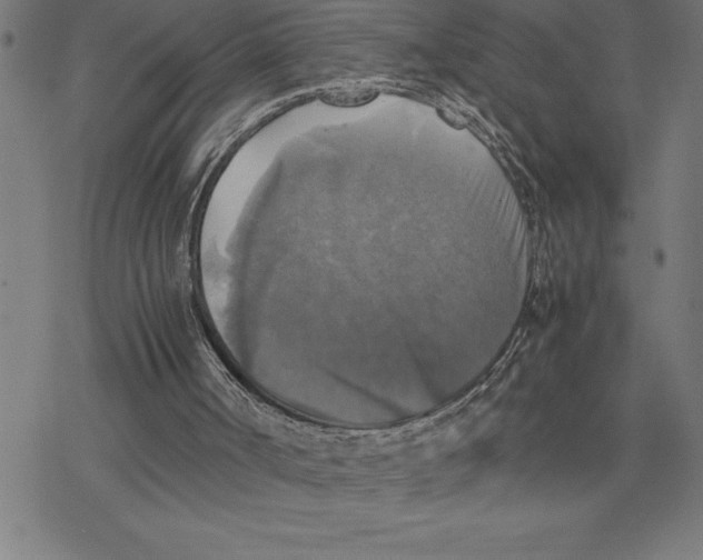 X0000077290002200611101354