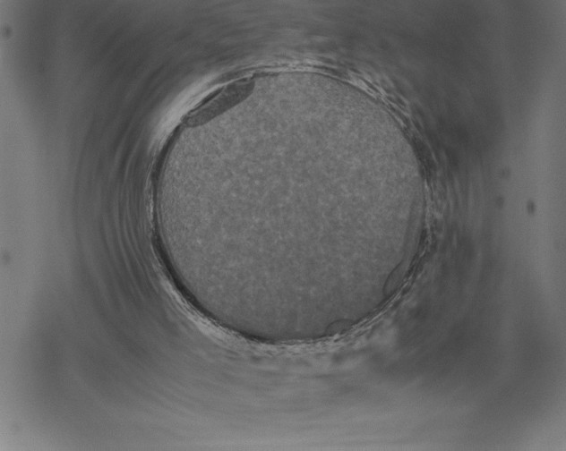 X0000077290005200611101354