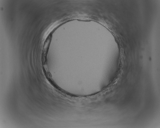 X0000077290007200611101354