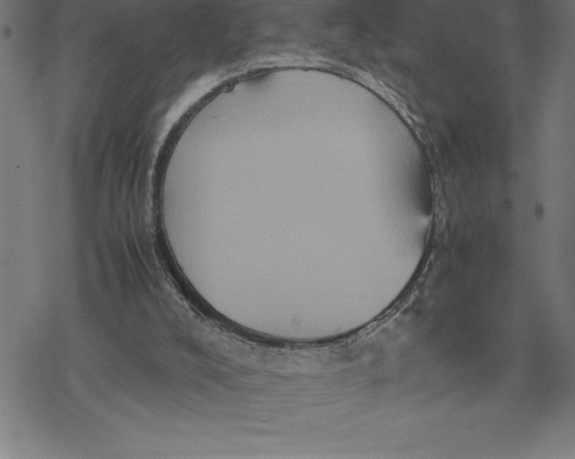 X0000077290008200611101354