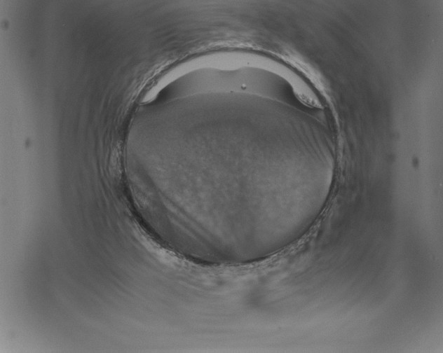 X0000077290009200611101354