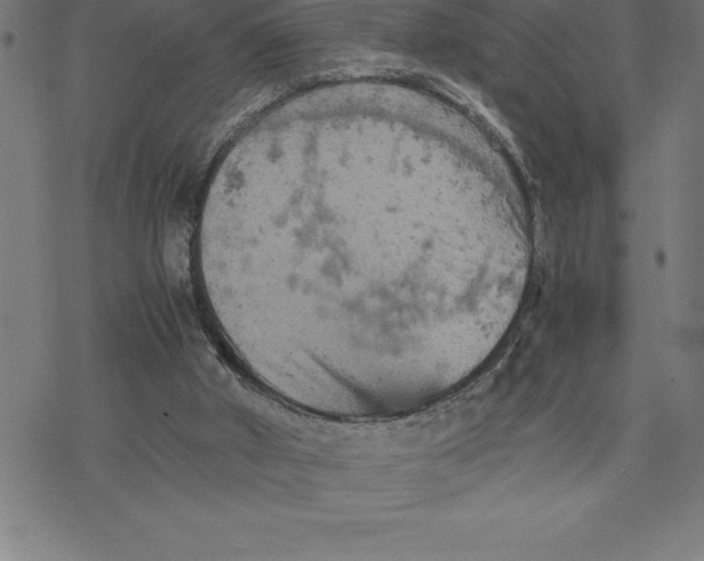 X0000077290010200611101354