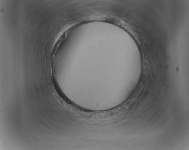 X0000077290011200611101354