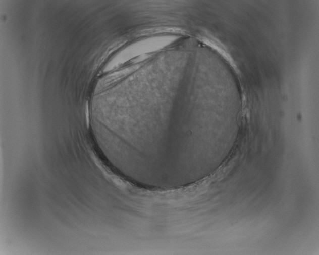 X0000077290013200611101354