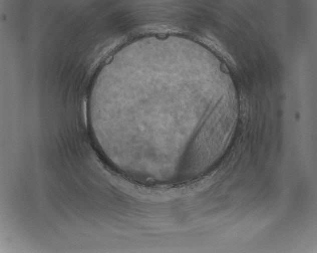 X0000077290014200611101354