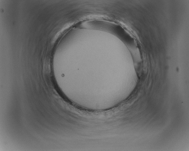 X0000077290015200611101354