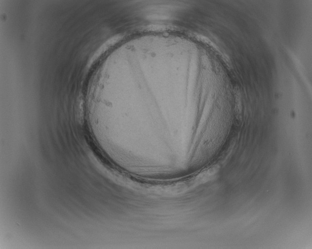 X0000077290016200611101354