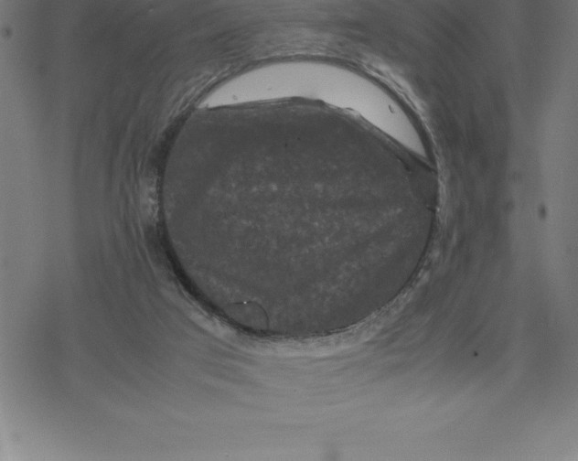 X0000077290017200611101354