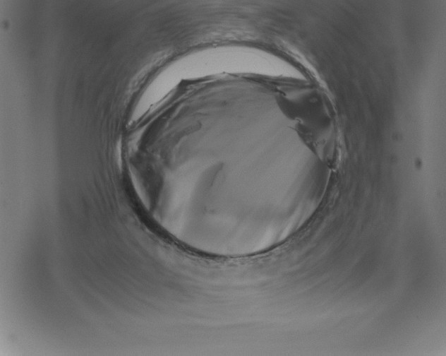 X0000077290019200611101354