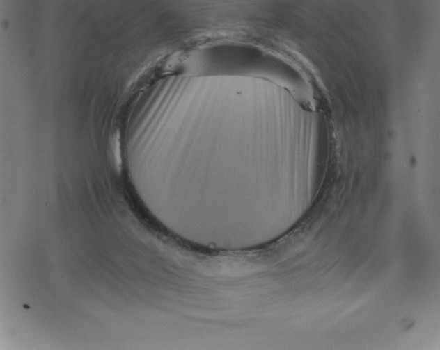 X0000077290020200611101354