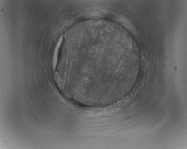 X0000077290021200611101354