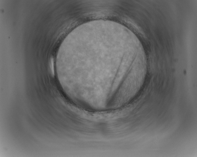 X0000077290022200611101354