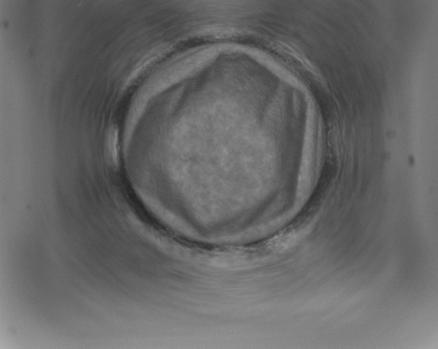 X0000077290024200611101354