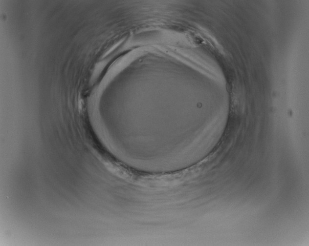 X0000077290025200611101354