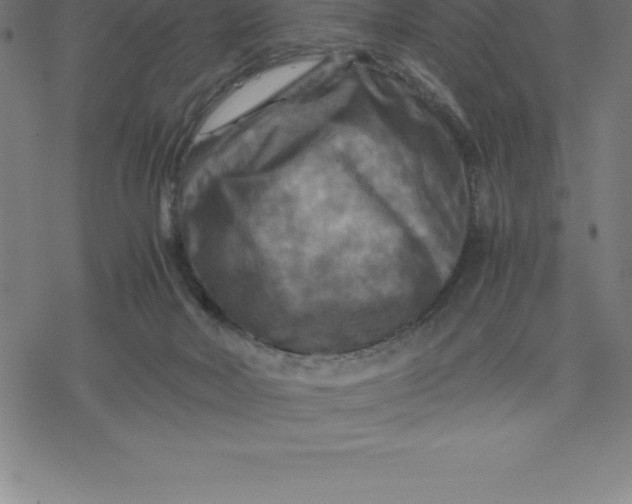 X0000077290026200611101354