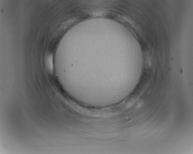 X0000077290028200611101354