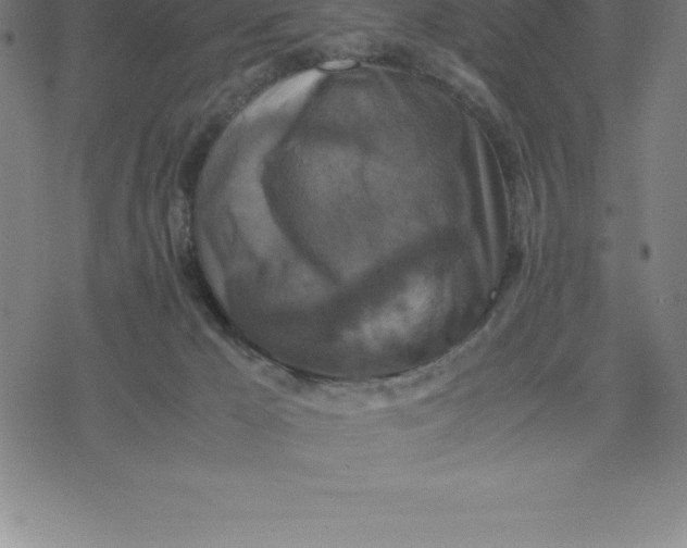 X0000077290029200611101354