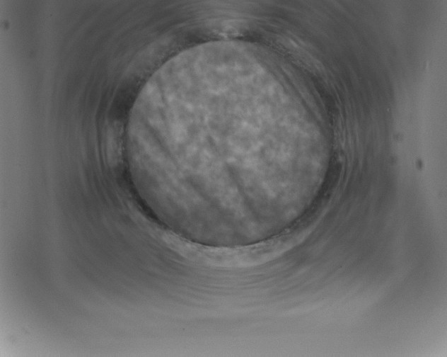 X0000077290030200611101354