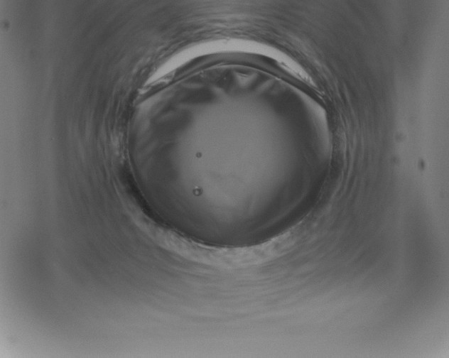 X0000077290031200611101354