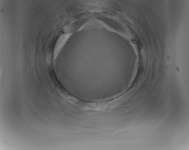 X0000077290033200611101354