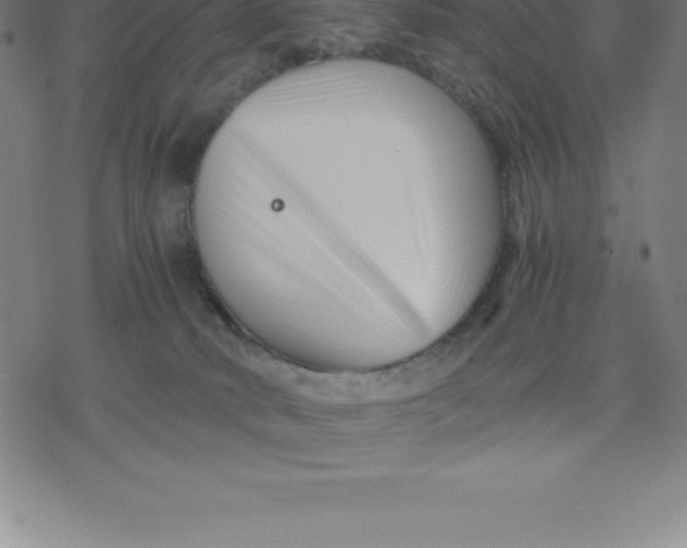 X0000077290034200611101354