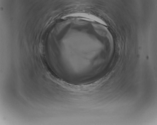 X0000077290035200611101354