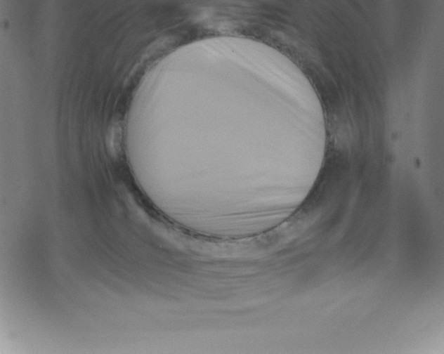 X0000077290036200611101354