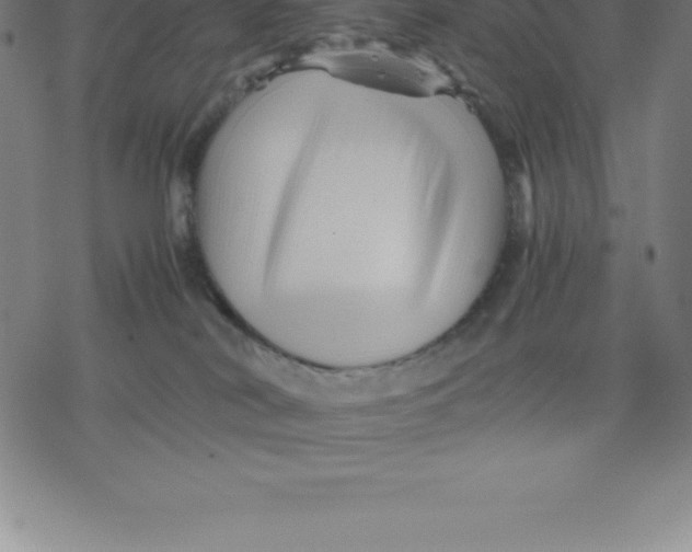 X0000077290038200611101354