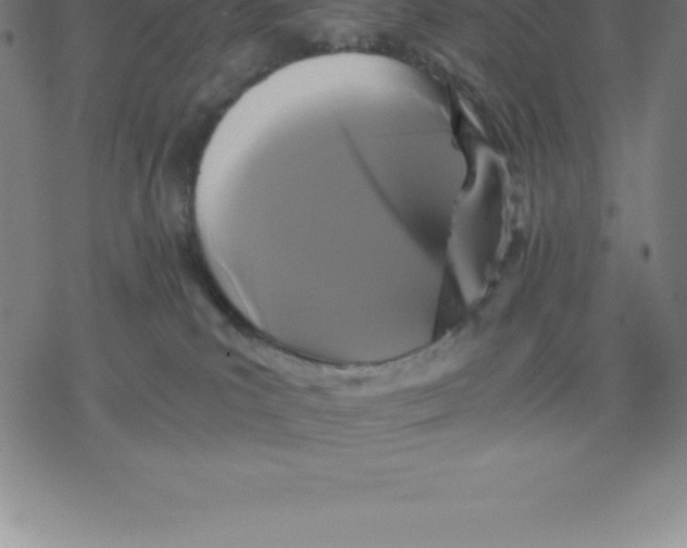 X0000077290039200611101354