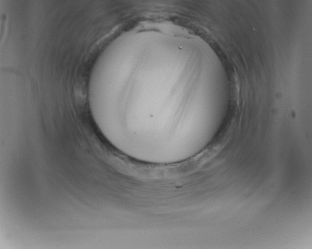 X0000077290040200611101354