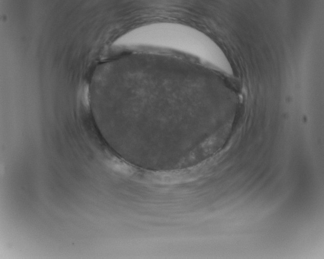 X0000077290041200611101354