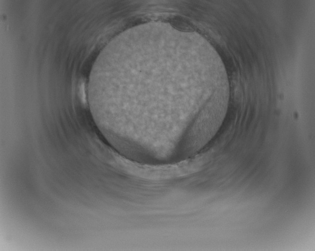 X0000077290042200611101354